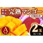 2027年5月発送< 産完熟マンゴー 3L~4L 2玉 化粧箱入>