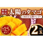 3L以上×2玉 マンゴー フルーツ デザート