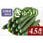 fu.... налог [ предшествующий предварительный заказ ][ время ограничено ] Париж ... магия. огурец maji кий 4.5kg( примерно 4.5kg) Париж ... магия. огурец [maji кий ] солености tsukemono ... Miyazaki префектура три . блок 