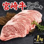 ロースステーキ 約1kg