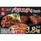 簡単お肉おかず小分けバラエティーセット総量約3.8kg