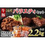 簡単お肉おかず小分けバラエティーセット総量約2.2kg