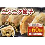 <ニンニク餃子 12ヶ入×5パック >