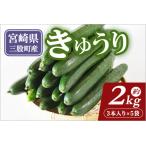 fu.... налог [ предшествующий предварительный заказ ][ время ограничено ] Miyazaki префектура производство огурец ( примерно 2kg)( примерно 2kg*3 шт. входит .×5 пакет ) Париж ... магия. огурец [maji кий ] солености tsukemono . небо ... Miyazaki префектура три . блок 