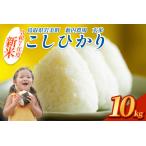 ふるさと納税 【先行予約】岩美薮内農場米(コシヒカリ)10kg 玄米|鳥取 岩美 米 お米 こめ コメ 令和7年産 新米【31013】 鳥取県岩美町