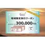 日本旅行 地域 旅行クーポン300,000円分
