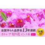 fu.... налог большой колесо розовый Cattleya срезанные цветы 5 колесо course Ibaraki префектура . общий город 