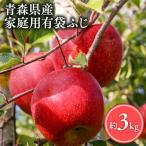 りんご 有袋ふじ3kg