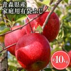 りんご 有袋ふじ10kg