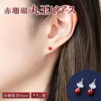 赤珊瑚 ピアス 珊瑚 FN-Limited-PR