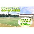 白井テニスクラブ利用券 3,000円分