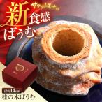 バウムクーヘン 桂の木ばうむ
