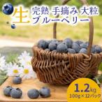 知多半島 生ブルーベリー 1.2kg