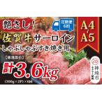 佐賀牛サーロイン 600g