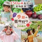 チケット 果物狩り 体験 2名様分