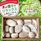 木のおもちゃ 12樹種セット 木育