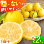 種なし柚子 2kg