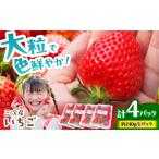 小さなくだもの畑のいちご いちご