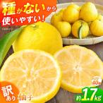 種なし柚子1.7kg ゆず