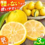 種なし柚子3kg ゆず
