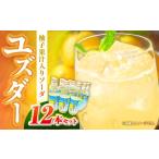 炭酸ジュース柚子サイダー ユズダー 12本