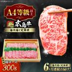 牛肉 焼肉 肩ロース 300g