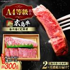 牛肉 肩ロース サーロインセット