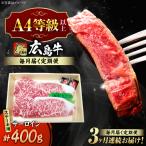 牛肉 広島牛サーロインステーキ 400g