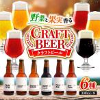 クラフトビール 地ビール 6種類 ビール