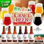 クラフトビール 地ビール 6種類 ビール