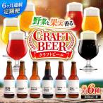 クラフトビール 地ビール 6種類 ビール