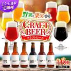 クラフトビール 地ビール 6種類 ビール