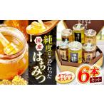 はちみつ 5種6本セット