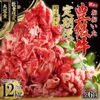 偶数月に届く おおいた豊後牛 切り落とし2kg 500g×4パック