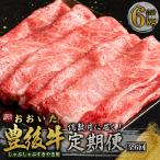 偶数月に届く おおいた豊後牛 しゃぶしゃぶすき焼き用