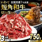 \3ヶ月連続 定期便 切り落とし 牛肉 赤身