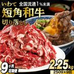 \9ヶ月連続 定期便 切り落とし 赤身 牛肉