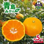 みかん S~2L 約5kg