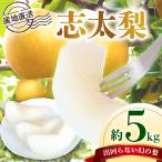 梨 5kg
