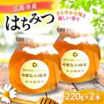 はちみつ チューブ2本セット 百花 くろがねもち 各500g