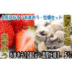 BD010.冬の定番セット.あまおう 1080g