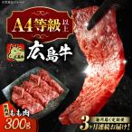 牛肉 焼肉 もも肉