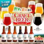 クラフトビール 地ビール 6種類 ビール