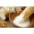 ふるさと納税 先行予約 砂丘長芋 5kg ※2025年11月上旬〜2026年3月下旬頃に順次発送 長いも いも 鳥取県北栄町