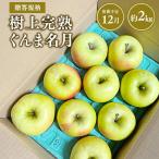 りんご 樹上完熟ぐんま名月 約2kg