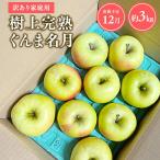 りんご 樹上完熟ぐんま名月 約3kg