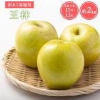 りんご 樹上完熟ぐんま名月約2kg