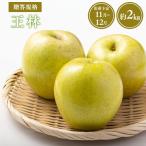 りんご 用王林約2kg