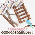 あそぶの大好き 小動物のとまり木とはしごセット