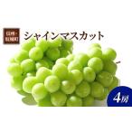 ふるさと納税 ぶどう シャインマスカット 4房 葡萄 ブドウ フルーツ 果物 デザート おやつ 信州 長野 坂城町 長野県坂城町